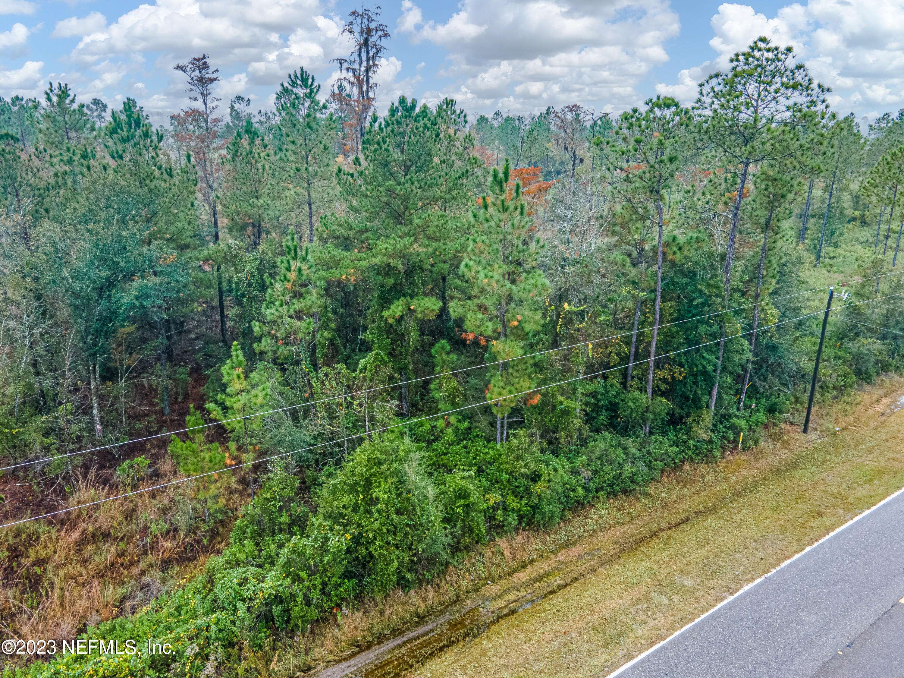 Bryceville, FL 32009,8655 FORD RD