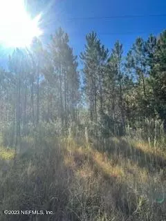 Raiford, FL 32083,00 NE 233 LN