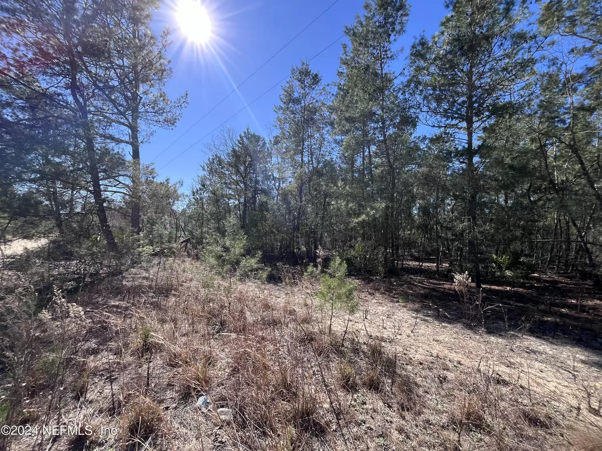 Interlachen, FL 32148,127 ROMANSHORN ST