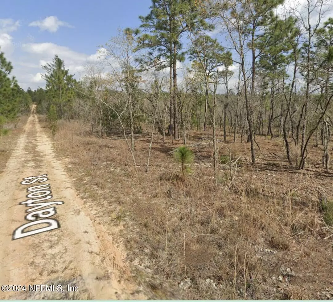 Interlachen, FL 32148,0 DAYTON ST. ST