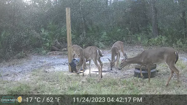 150 FAWN TRL,  Palatka,  FL 32177