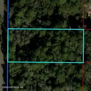 Inglis, FL 32644,0 CARSONS INGLIS ACRES AREA