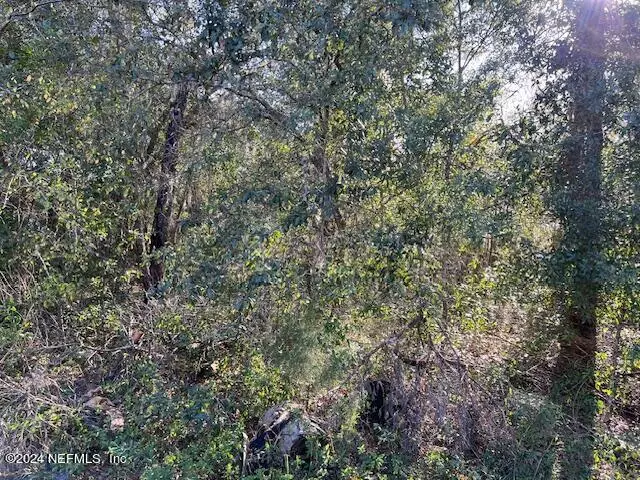 Hawthorne, FL 32640,0 UNASSIGNED ADDRESS