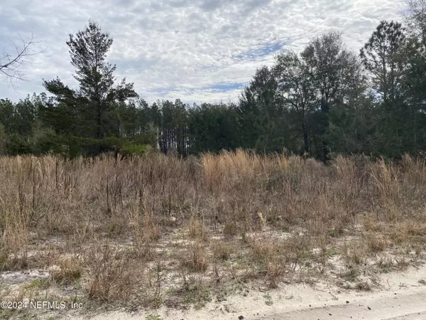 Pomona Park, FL 32181,LOT 172 ORANGE BLOSSOM TRL