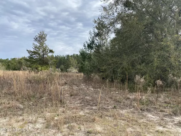 Pomona Park, FL 32181,LOT 172 ORANGE BLOSSOM TRL