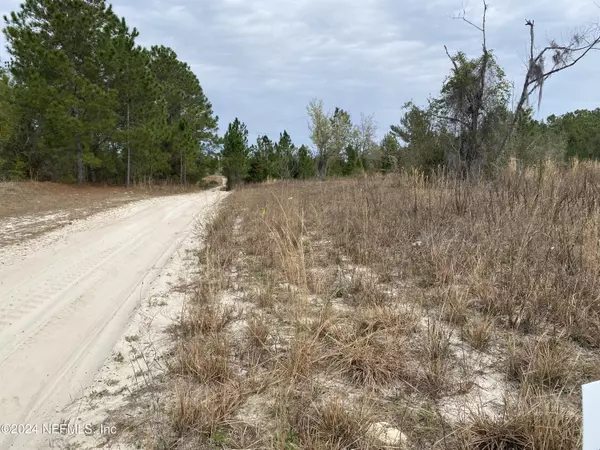 Pomona Park, FL 32181,LOT 172 ORANGE BLOSSOM TRL