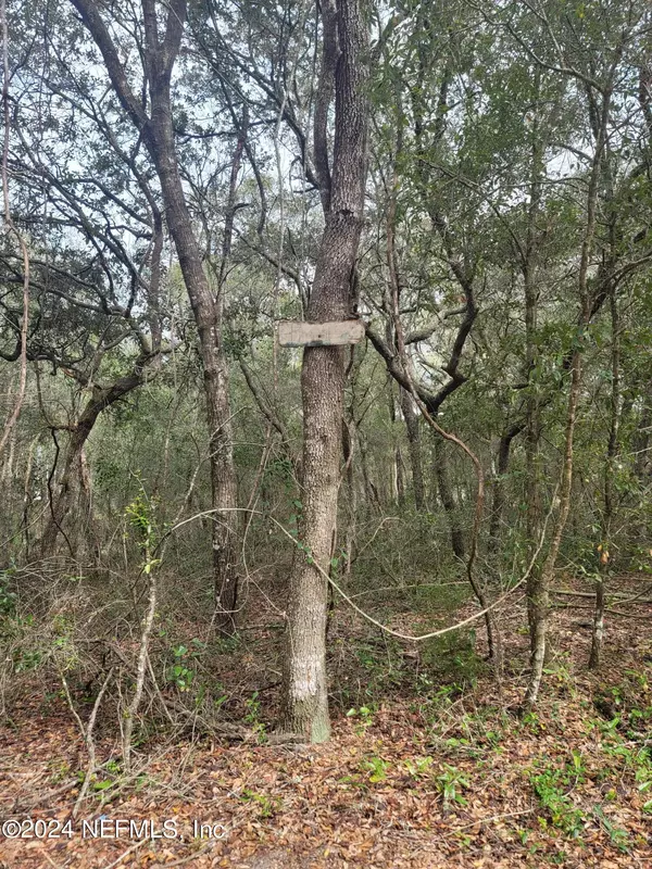 109 PINE TRL, Melrose, FL 32666