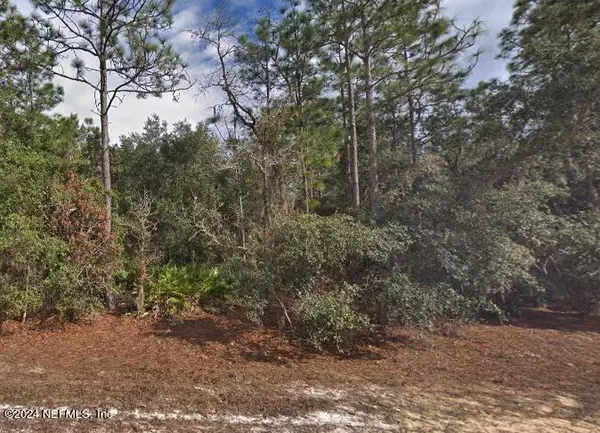 LOT 5 DAVID AVE, Interlachen, FL 32148