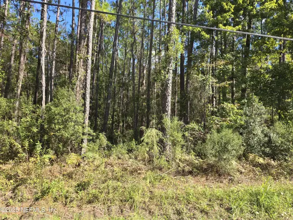 Jacksonville, FL 32256,0 MCLAURIN RD E