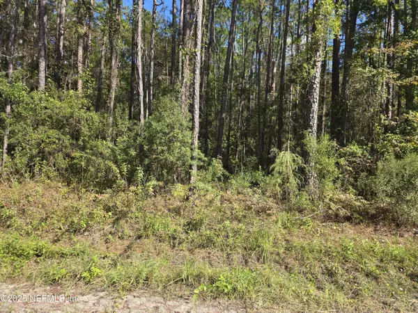 Jacksonville, FL 32256,0 MCLAURIN RD E
