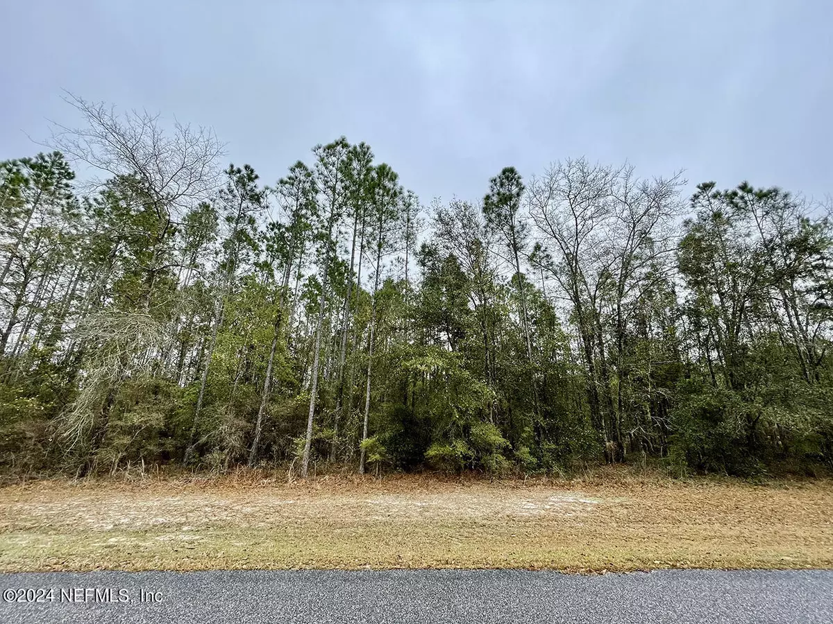 Bryceville, FL 32009,15436 BULLOCK BLUFF RD