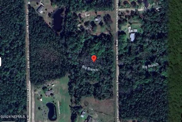 Middleburg, FL 32068,4091 ALS SATCH RD