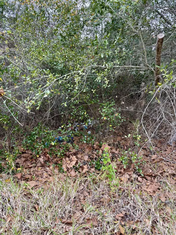 Port Orange, FL 32127,5806 SPRUCE CREEK WOODS DR