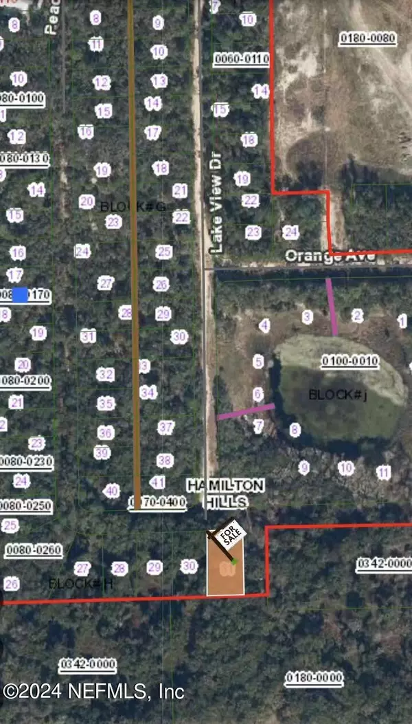 Pomona Park, FL 32181,161 PEACH ORCHARD RD
