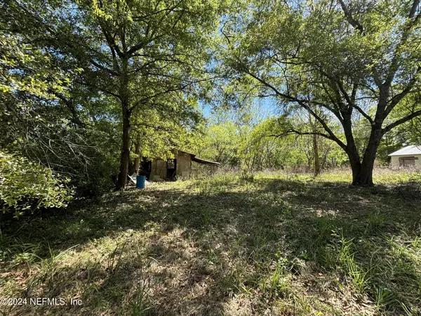 Middleburg, FL 32068,1770 DAVIDS PL