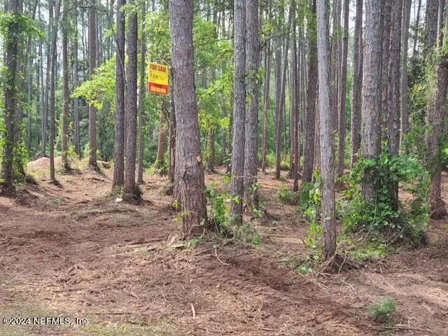 245 GEORGETOWN DENVER RD, Georgetown, FL 32139