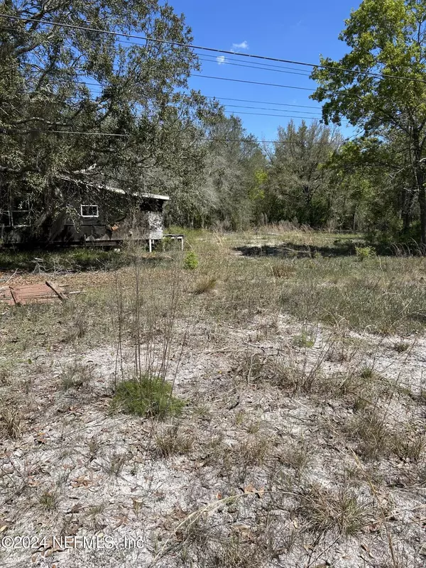 Middleburg, FL 32068,392 FOXTAIL AVE