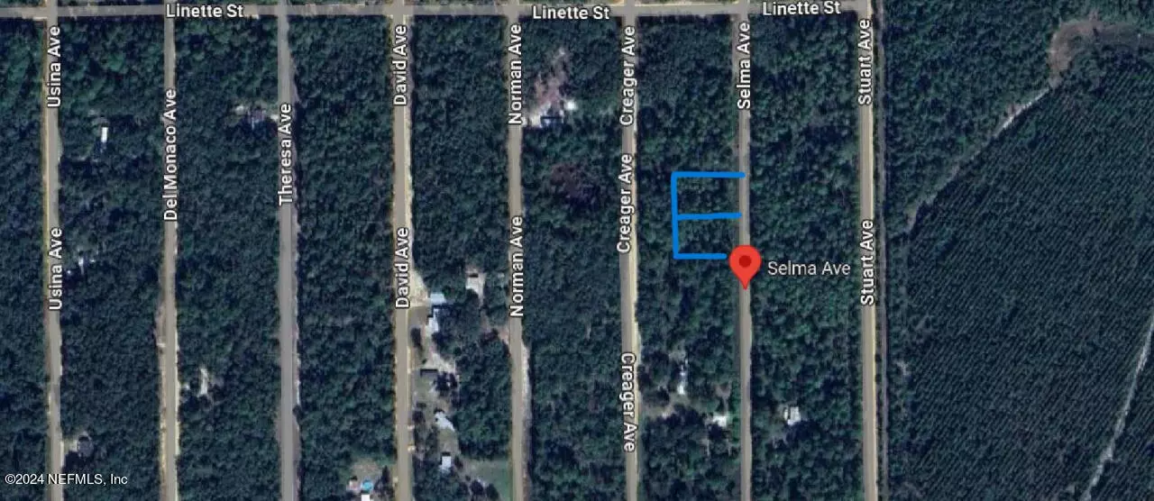 0 SELMA AVE, Interlachen, FL 32148