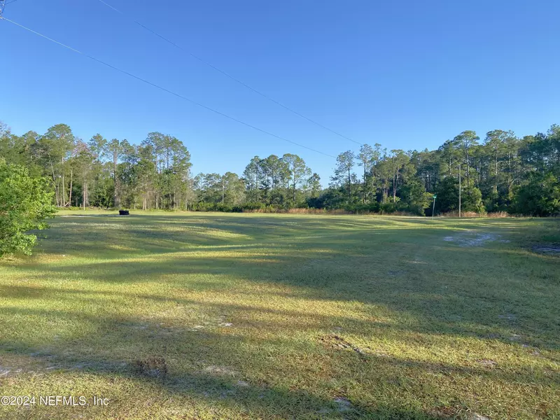 LOT 4 TAMARAC CT, Georgetown, FL 32139