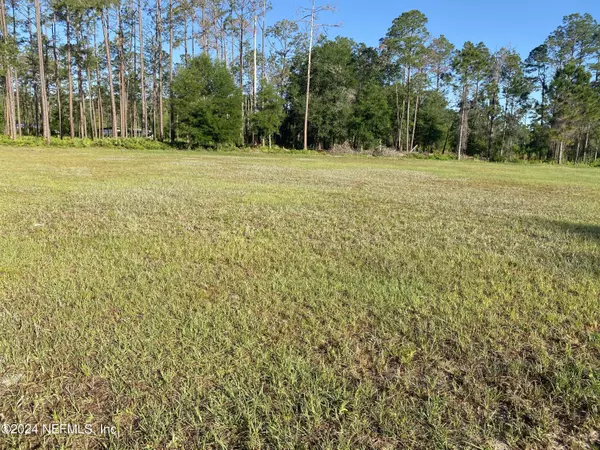 Georgetown, FL 32139,LOT 4 TAMARAC CT