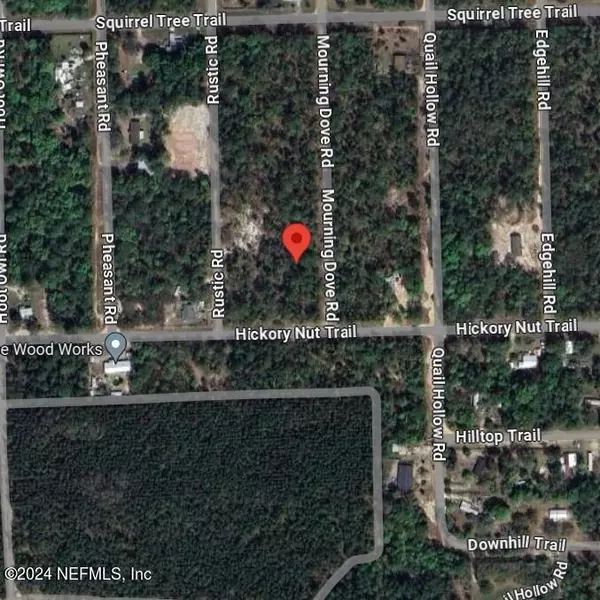 Satsuma, FL 32189,421 MOURNING DOVE RD