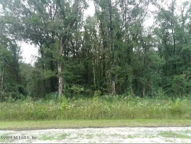 4605 HAROLD ST, Hastings, FL 32145