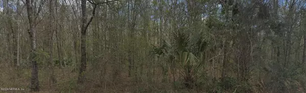 Hastings, FL 32145,10220 ZIGLER AVE