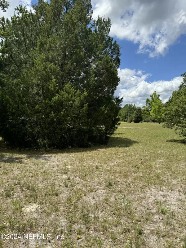 Middleburg, FL 32068,1598 LONG HORN RD