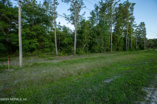 Keystone Heights, FL 32656,6123 S COUNTY ROAD 315C