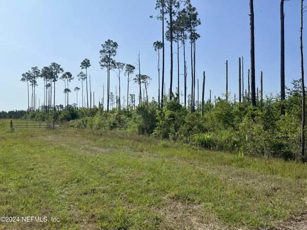 0 COUNTY ROAD 121, Bryceville, FL 32009