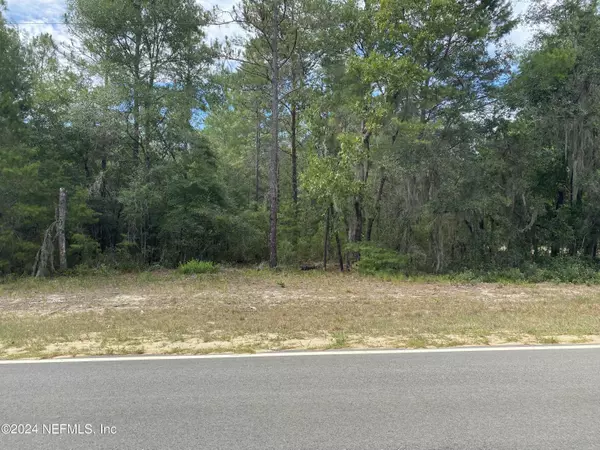 Interlachen, FL 32148,LOT 19 DENISE ST