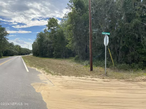 Interlachen, FL 32148,LOT 19 DENISE ST