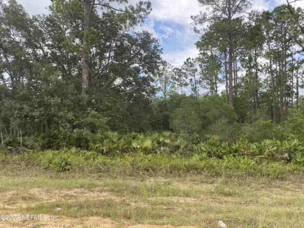 Interlachen, FL 32148,LOT 18 FOWLER ST