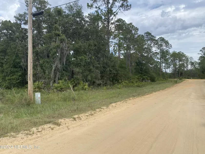 LOT 18 FOWLER ST, Interlachen, FL 32148