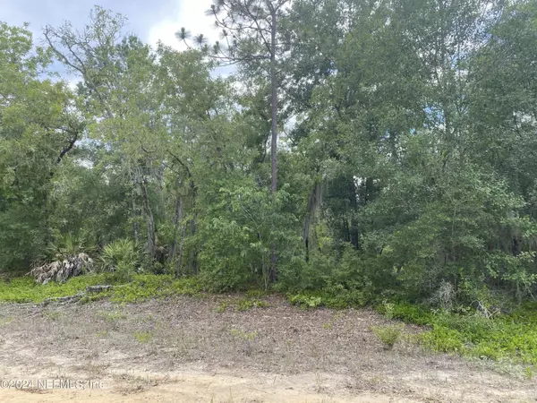 Interlachen, FL 32148,LOT 22 MORSE RD