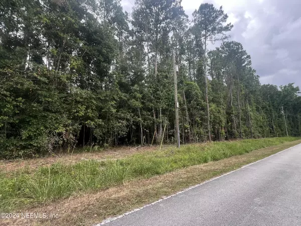 Middleburg, FL 32068,0 LAZY ACRES RD