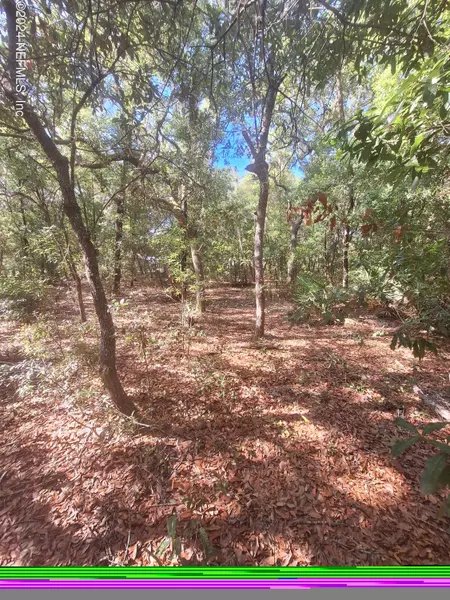 LOT 2 3 RINTZ ST, Interlachen, FL 32148