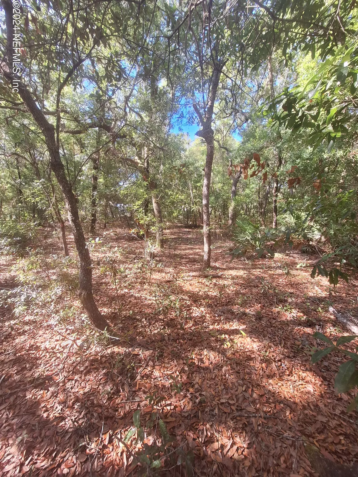 Interlachen, FL 32148,LOT 2 3 RINTZ ST