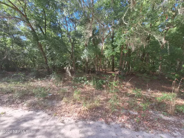 Interlachen, FL 32148,LOT 2 3 RINTZ ST