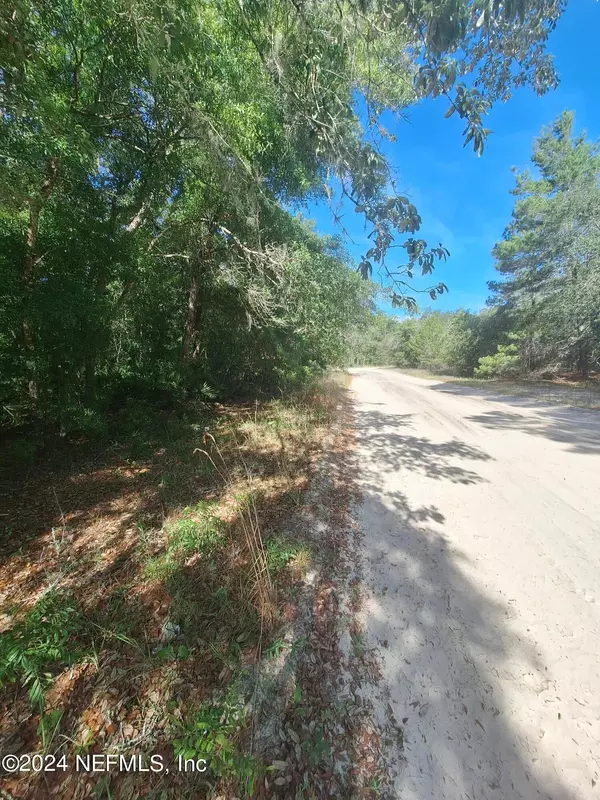 Interlachen, FL 32148,LOT 2 3 RINTZ ST