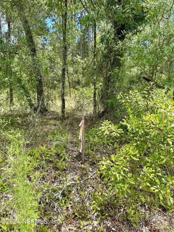 Dunnellon, FL 34431,LOT 17 NW MALLARD AVE