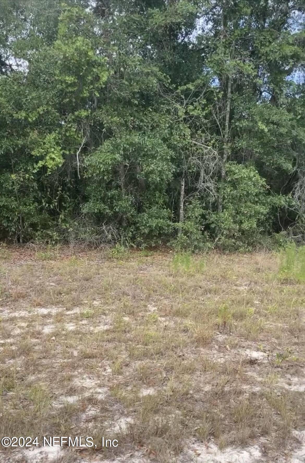 Keystone Heights, FL 32656,5394 CO RD 352