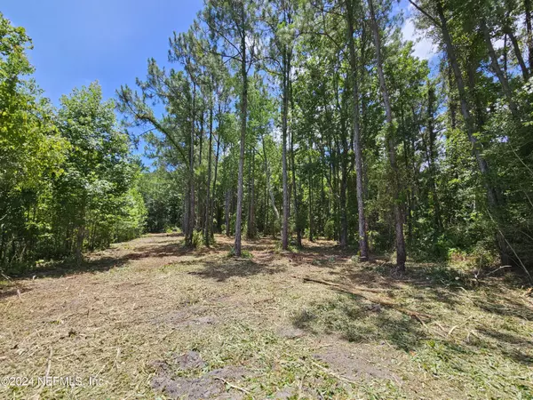 Fernandina Beach, FL 32034,0 CAYMAN CIR