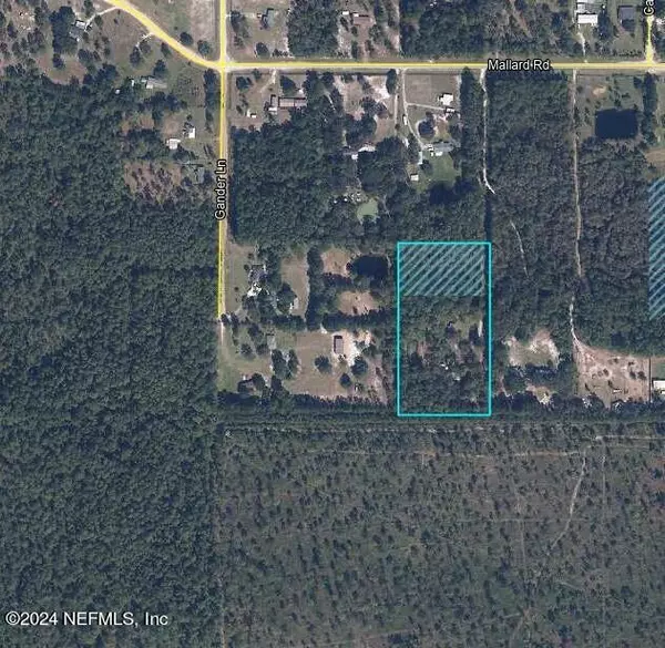 Middleburg, FL 32068,2085 MALLARD RD