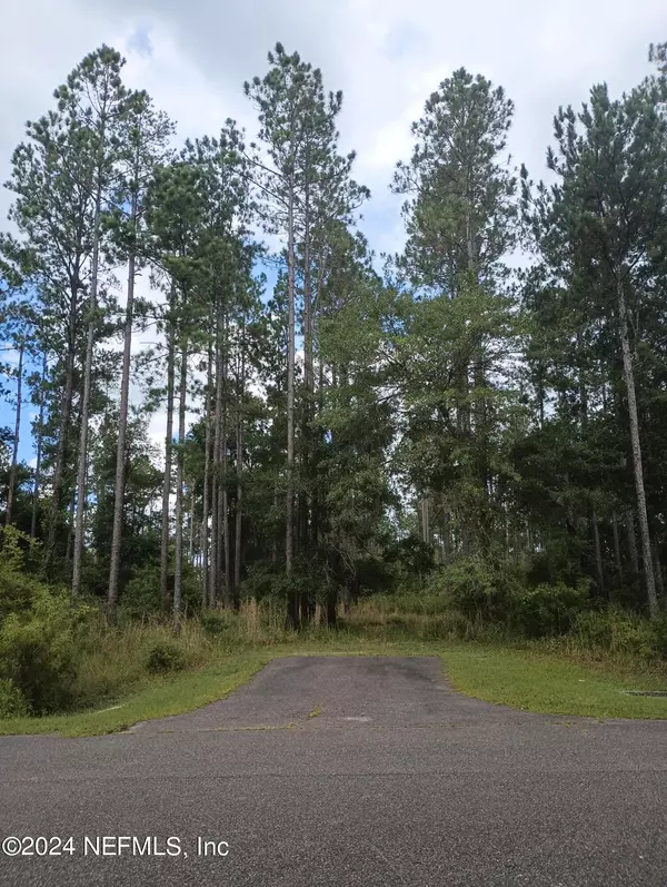 Earleton, FL 32631,0 00 NE 73 AVE