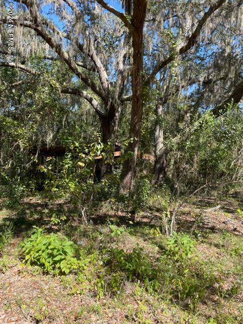 Keystone Heights, FL 32656,7043 GATORBONE RD