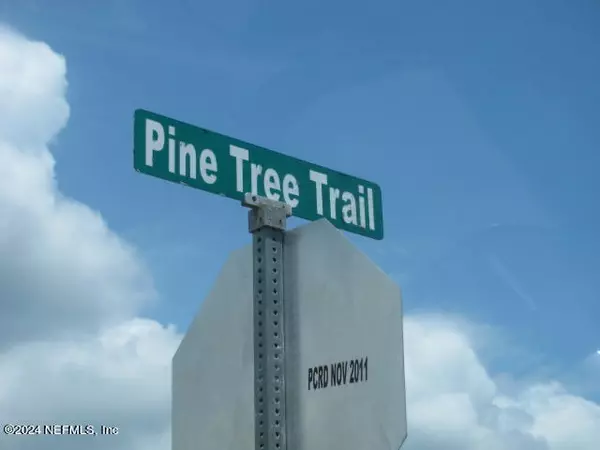 Crescent City, FL 32112,215 PINE TREE TRL