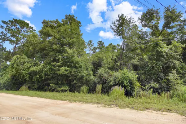 Middleburg, FL 32068,4700 JAVELINE CIR