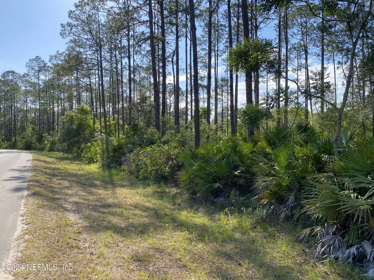 Interlachen, FL 32148,LOT 8 WALLACE ST