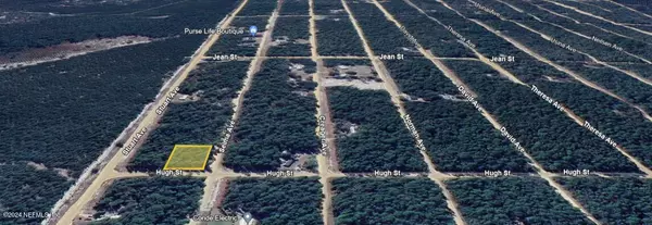 Interlachen, FL 32148,LOT 1 SELMA AVE